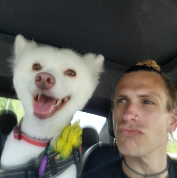 Meet your Posher, Andy - Picture 3 of 3